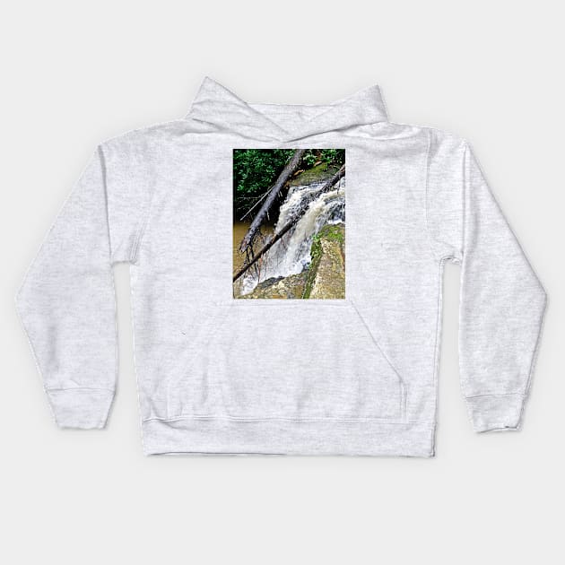 Marsh Fork Falls Kids Hoodie by PaulLu